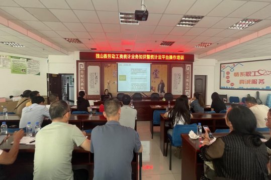 县统计局召开劳动工资统计业务培训会